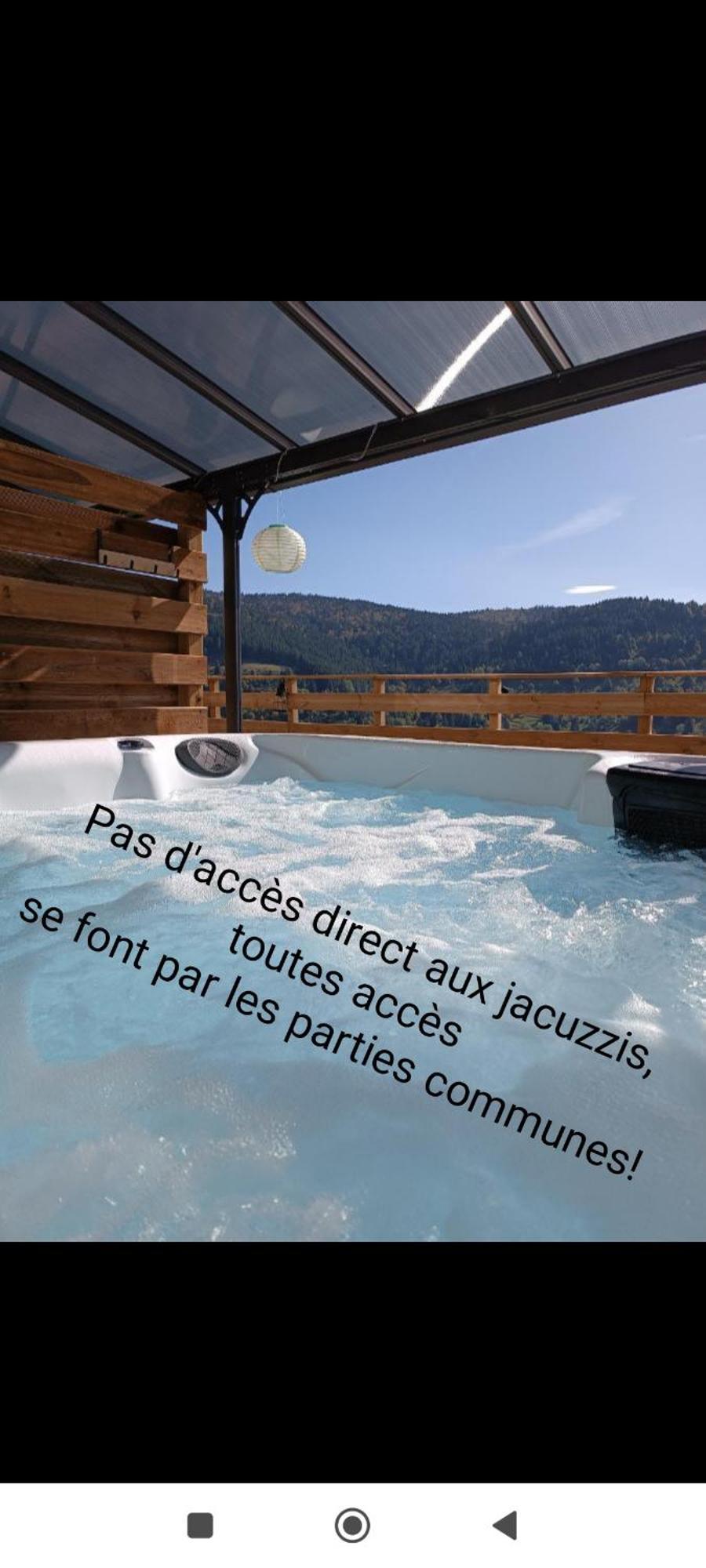 Les Chalets Bambi & Jacuzzi Privatif Ла-Бресс Экстерьер фото